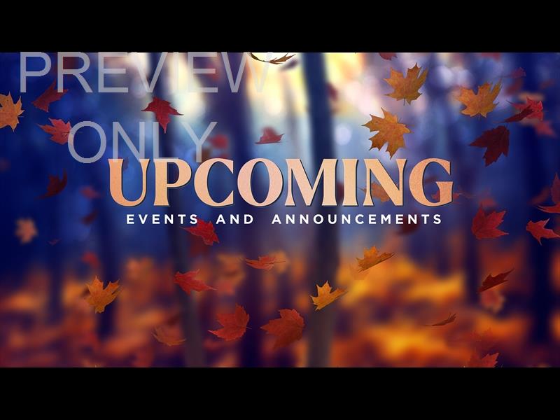 Fall Woods Upcoming Still