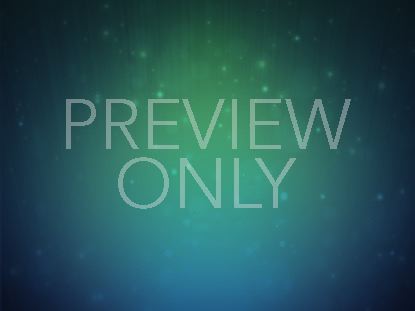 Christmas Lights Still 4