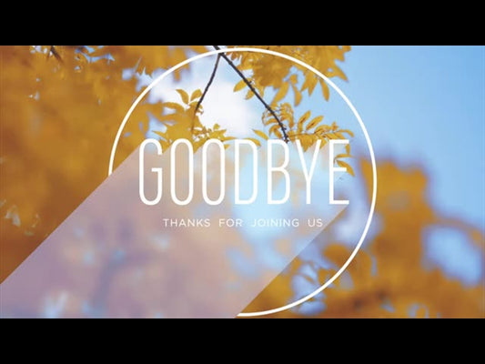 Fall Shadow Goodbye