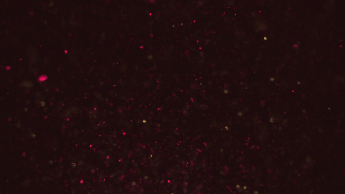 Christmas Glitter 14