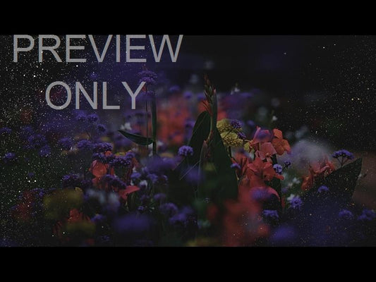 Ebony Floral: Still 06