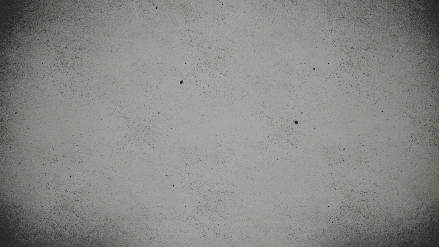 Dust Gray