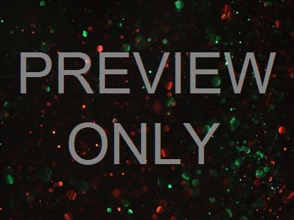 Christmas Glitter Slow Dark