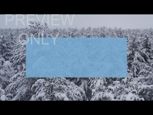 Winter Woods Pine Peaks Rectangle Still