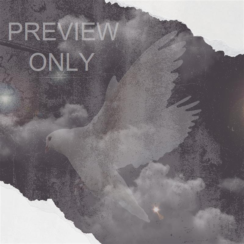 Pentecost Sunday: Come Holy Spirit Social Graphic Blank
