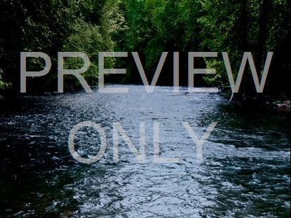 River Wild 6 Hd Still