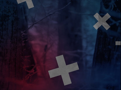 Red Blue Forest