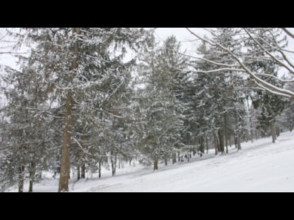 Snow Winter Background 44