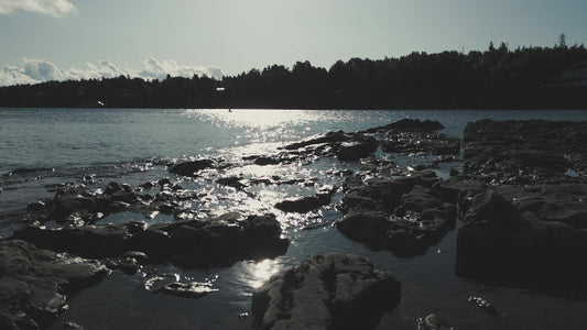 Northern Shores 7 Still