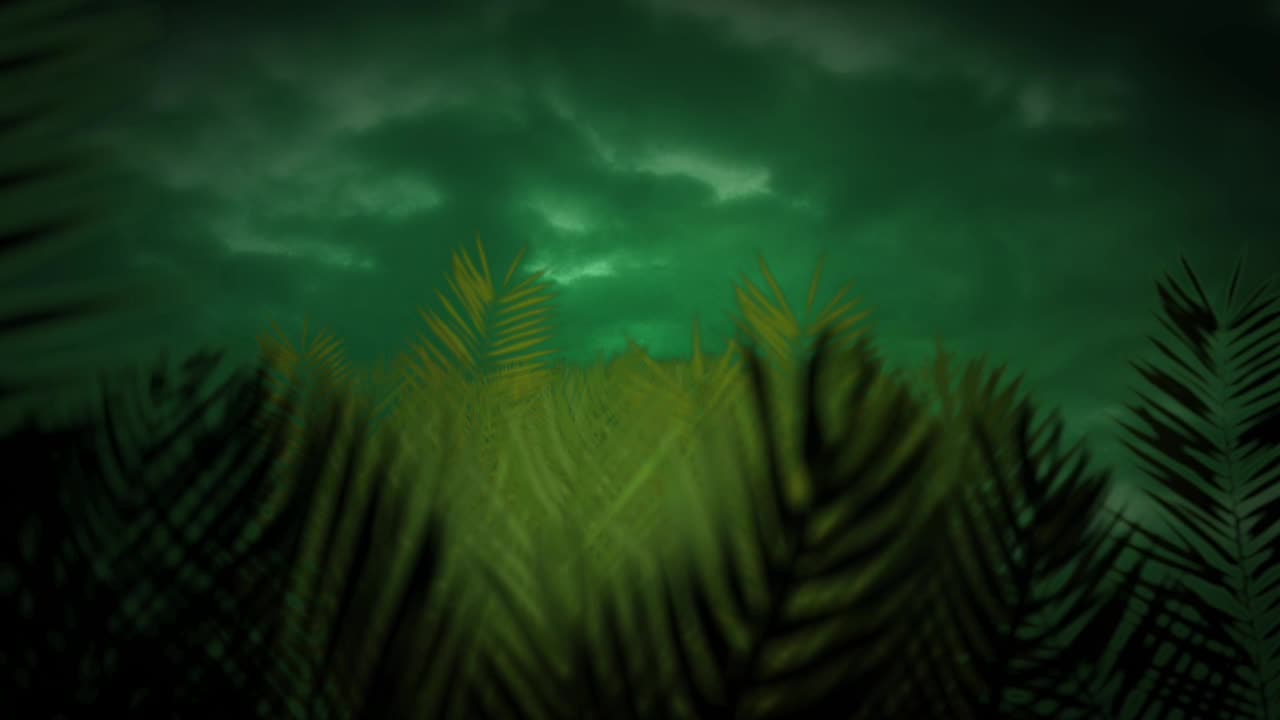Palm Pass
