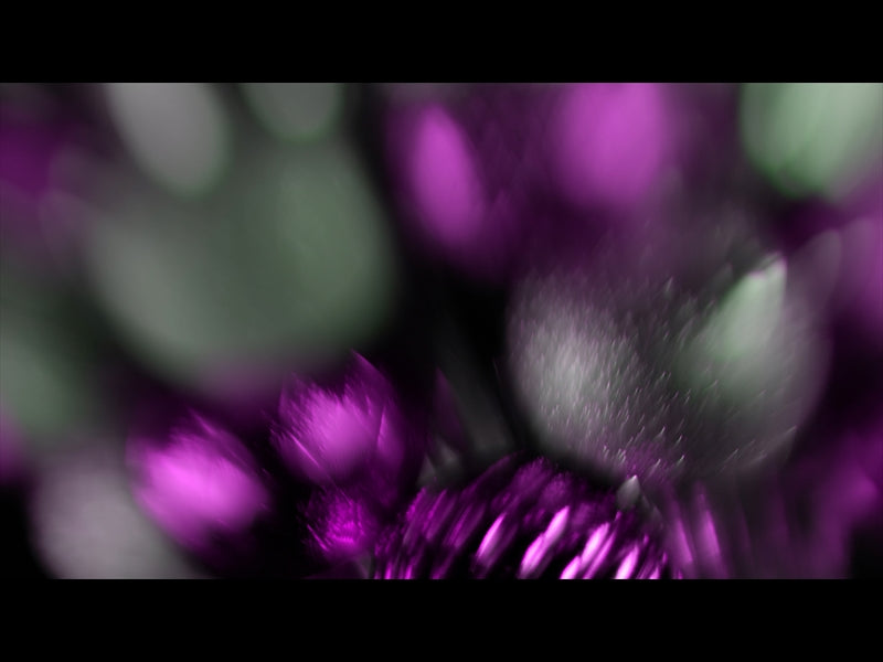 Christmas Ornamental 16