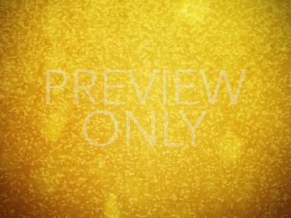 Celebrating New Years 2