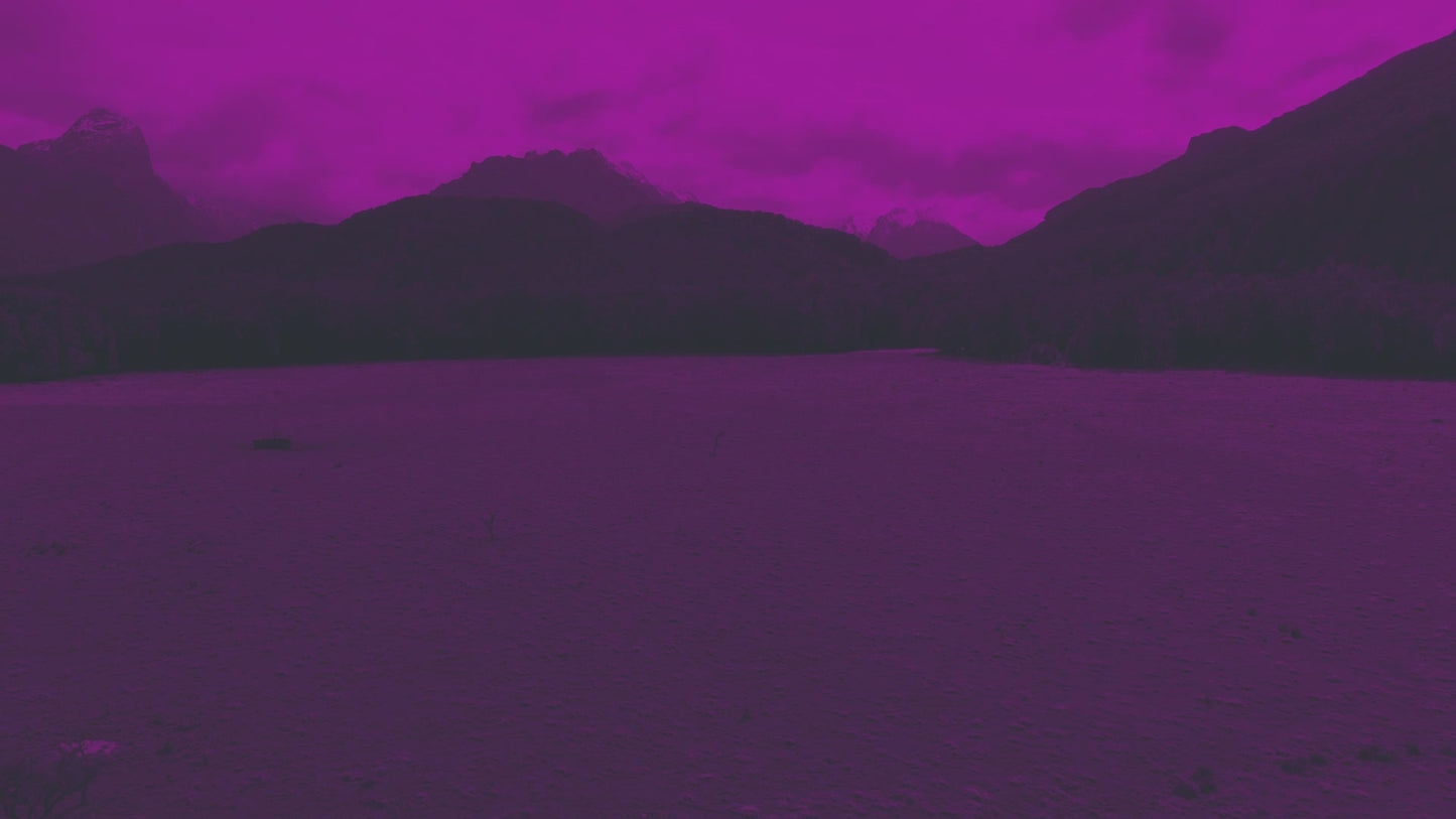 Peaceful Flight 8 Tint Still
