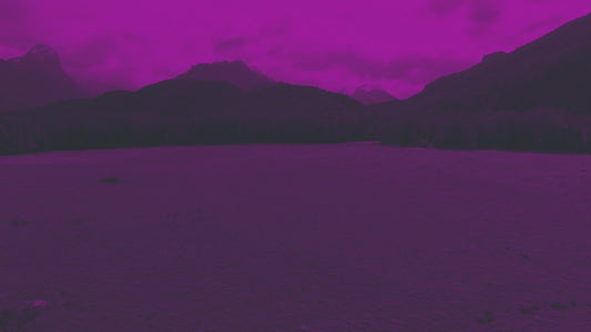 Peaceful Flight 8 Tint Still