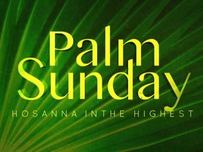 Radiant Palms Motion 6