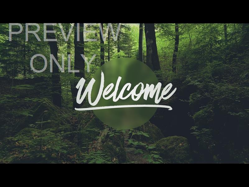 Deep Forest Welcome Still