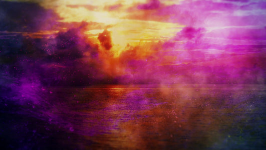 Vivid  1 Still