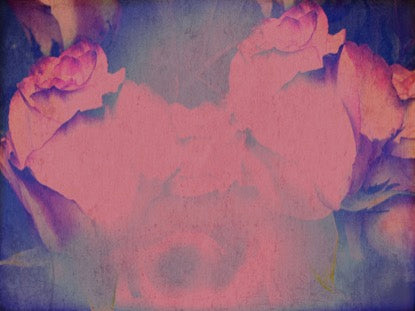 Mothers Day Roses 1 Motion