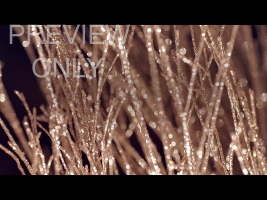 Christmas Gold 13 Still