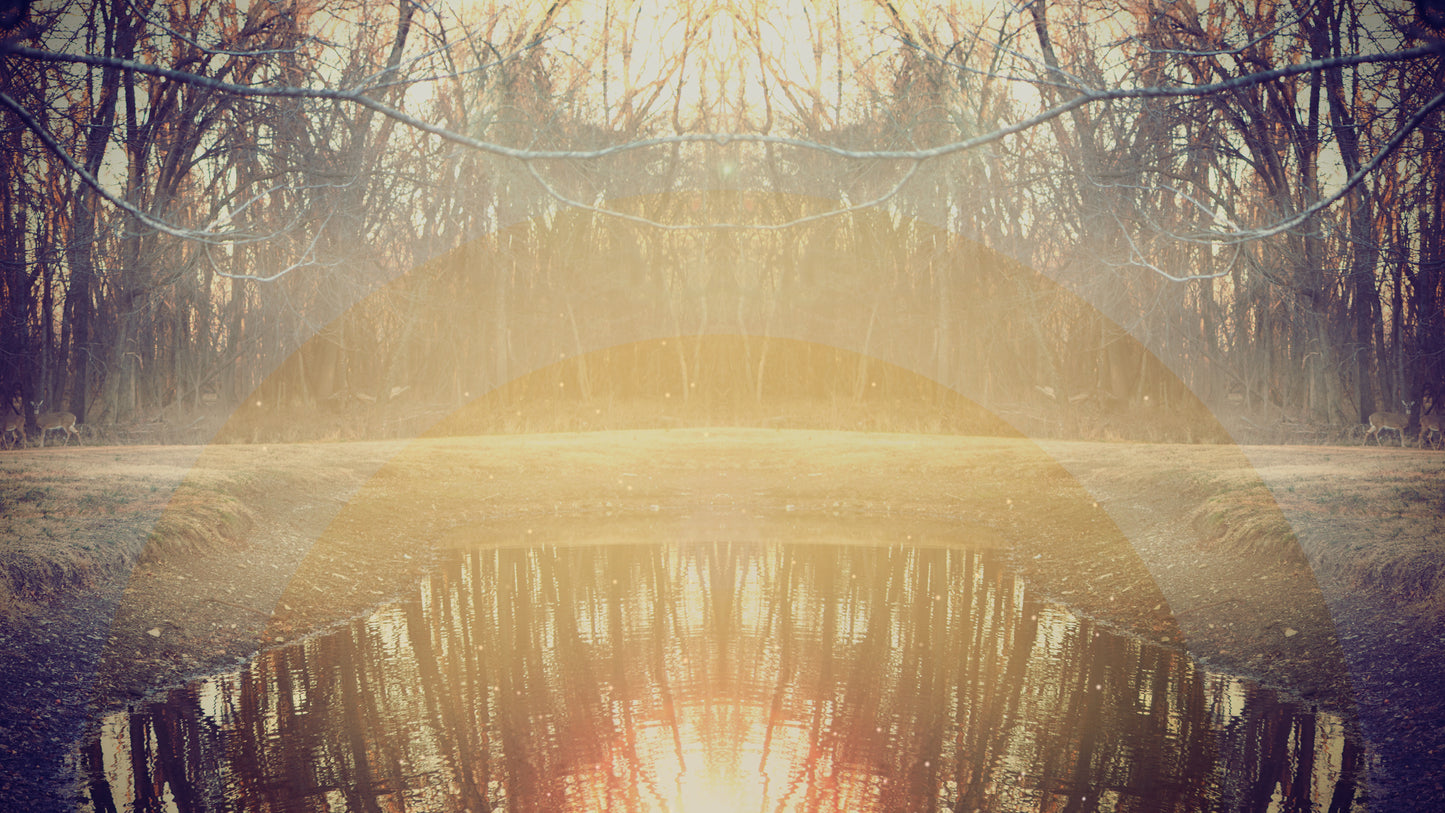 Fall Geometry Pond Still