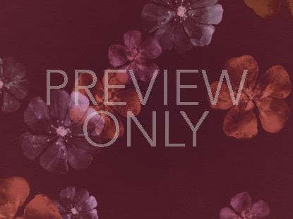Floating Flowers Still 5