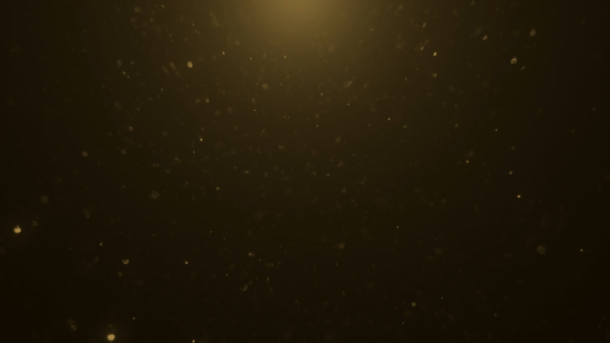 Christmas Glitter 13