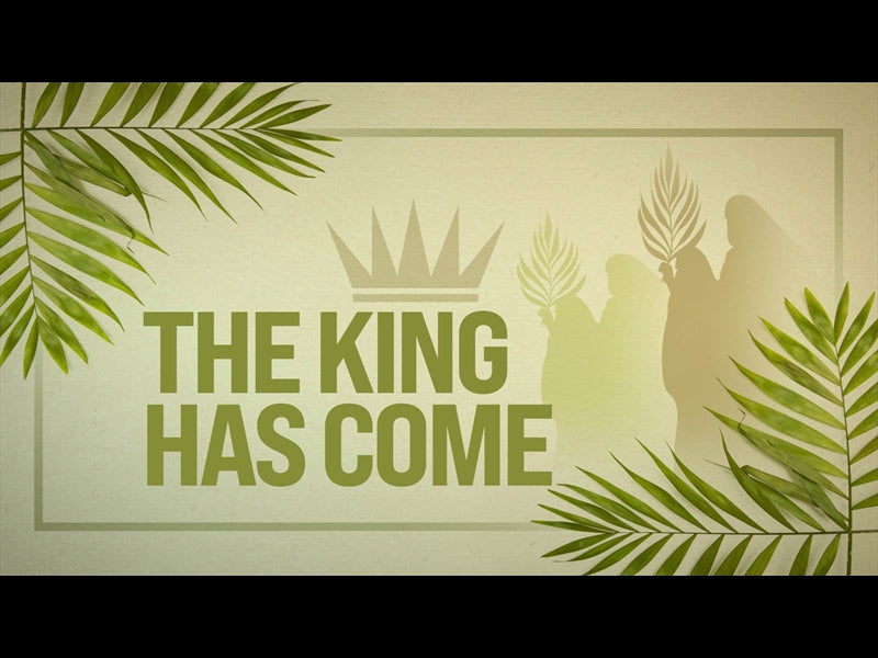 Palm Sunday The King Has Come - Spanish
