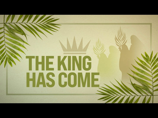 Palm Sunday The King Has Come - Spanish