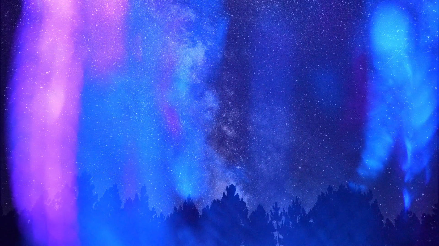 Refracted Nature Still 11