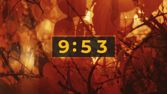 Autumn Dream 10 Min Countdown