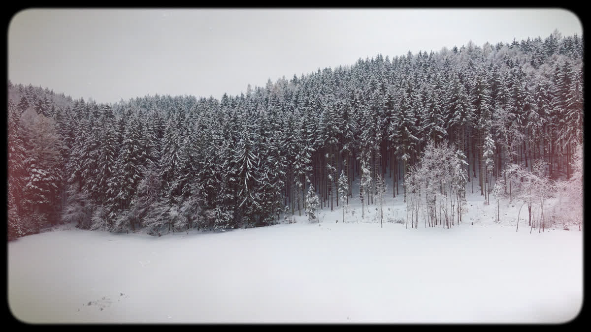 Retro Winter 14