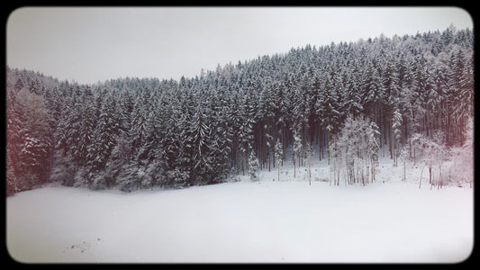 Retro Winter 14