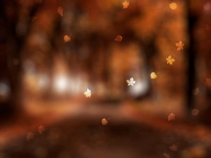 Autumn Leaves 5