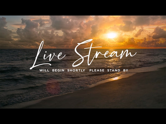 Sunset Beach Live Stream Motion