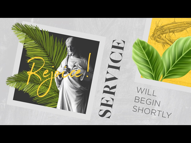 Polaroid Palm Service