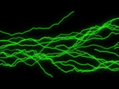 Praise On Praise Loop 4