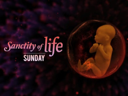Sanctity Of Life Loop