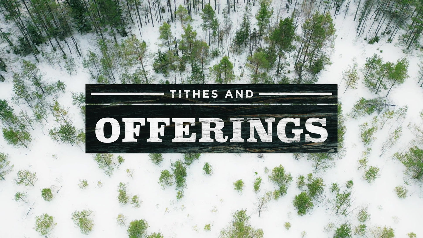 Winter Woods Tithes And Offerings