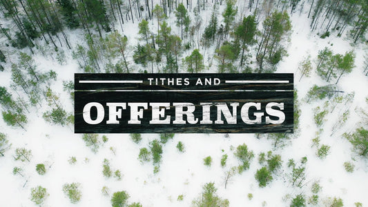 Winter Woods Still Tithes And Offerings