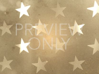 In Honor Of Service Still 3