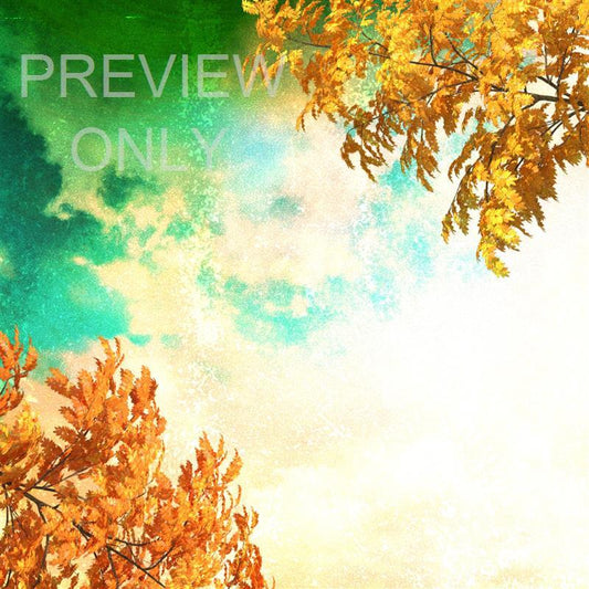 Seasonal Vibes: Fall Edition Social Graphic 3