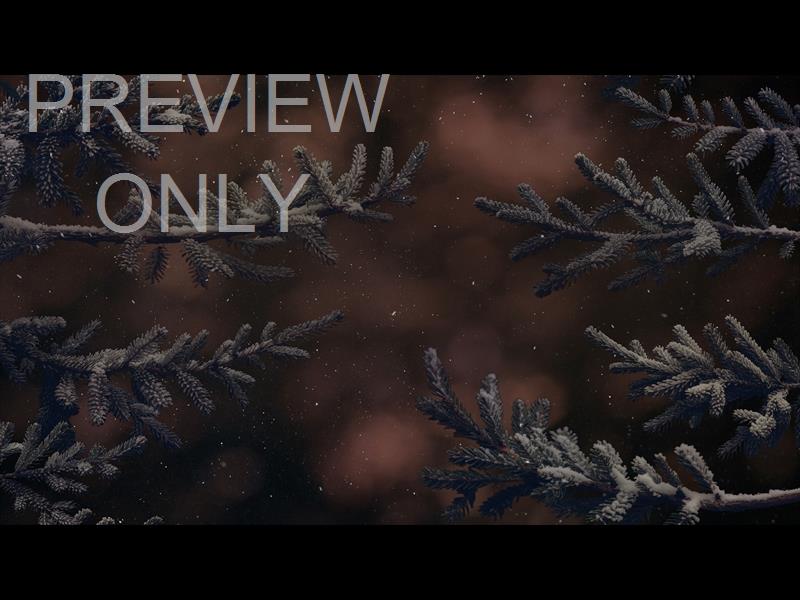 Christmas Wintertide 6 Still