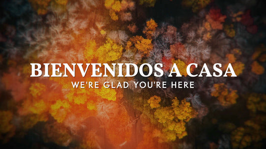 Aerial Journey Welcome Back Still - Spanish