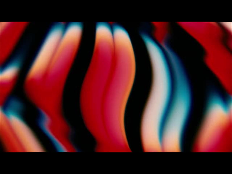 Distortion Hearts 11