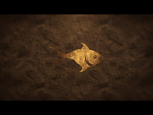 Gold Fish Loop: The Gospel According To Peter