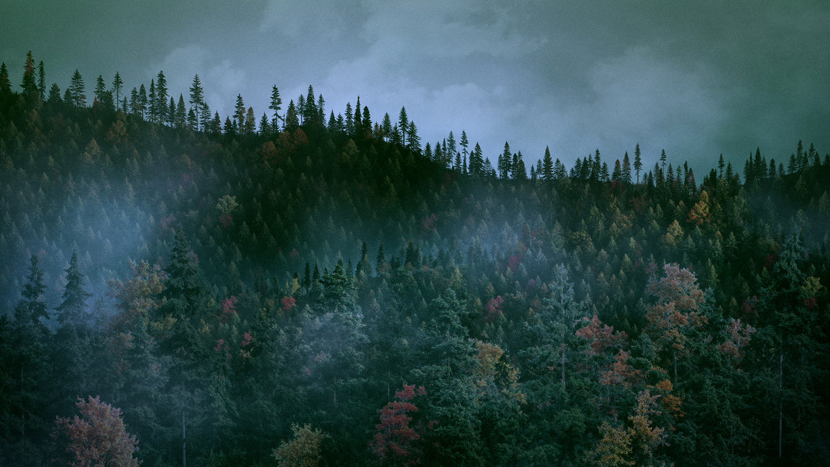 Ridgeline Fall 11
