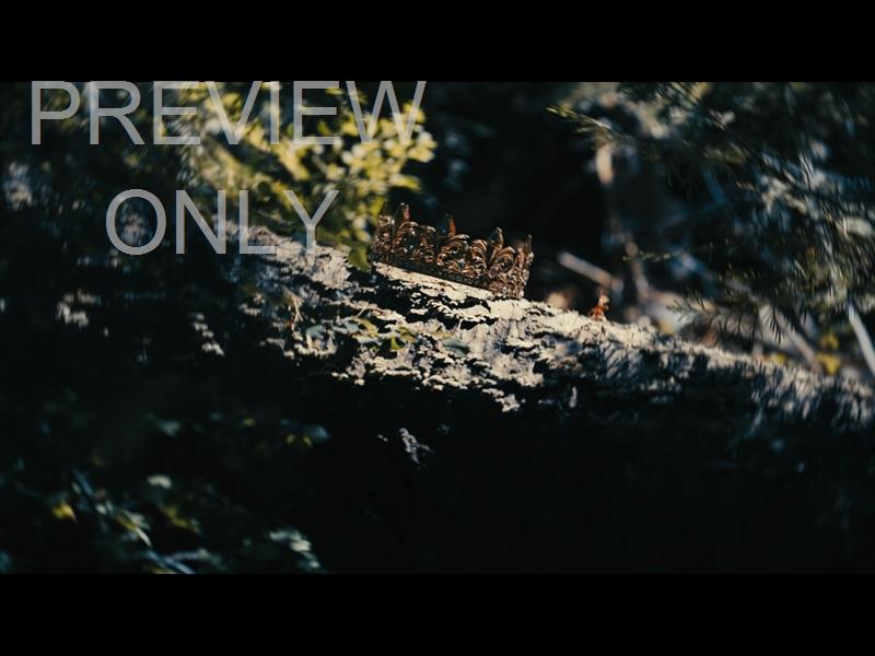 Bible And Crown 7 Still