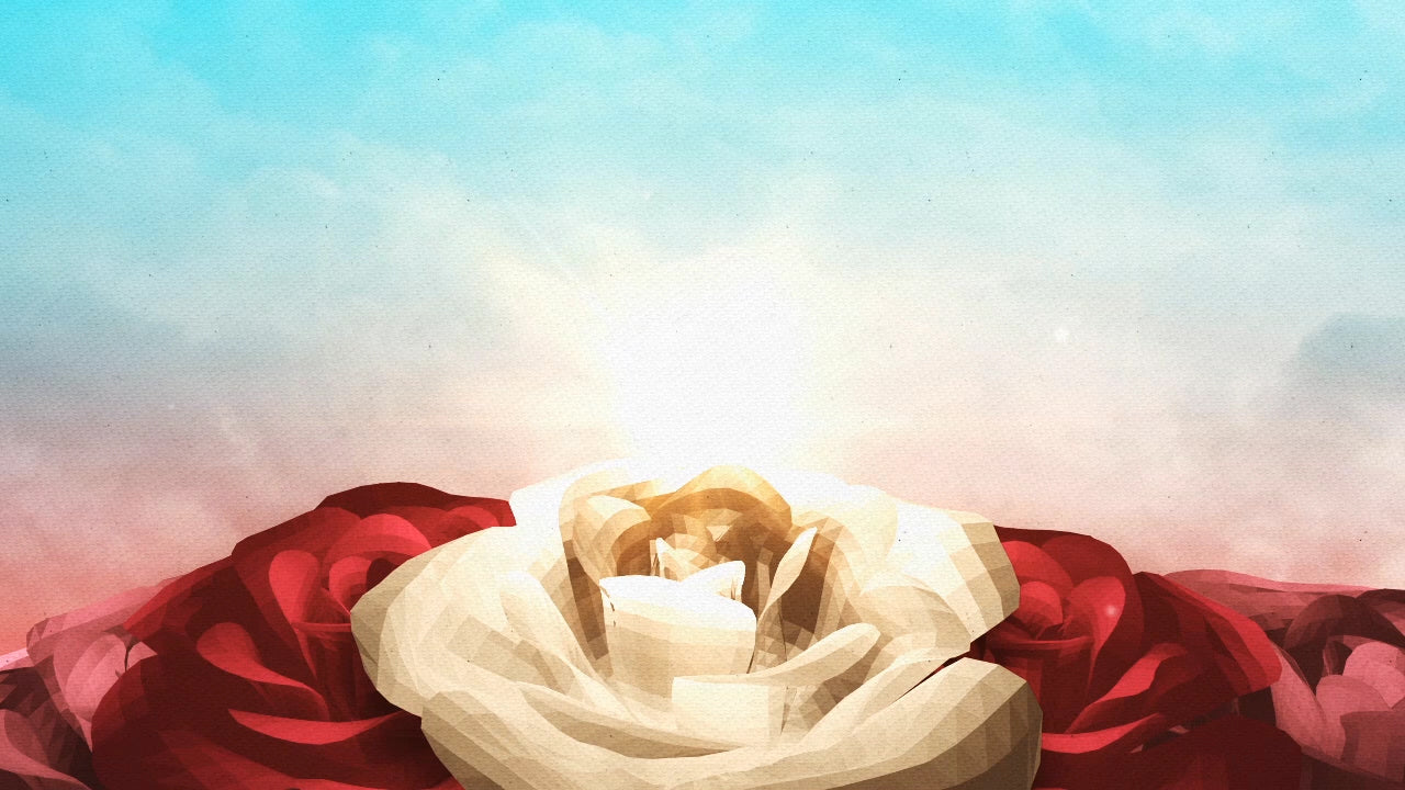 Mother'S Day Flowers 01