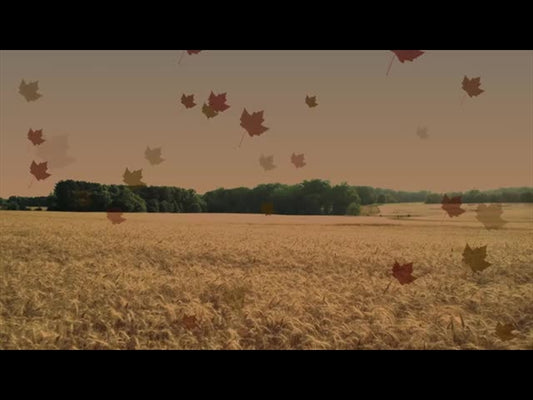 Harvest Motion Background 1