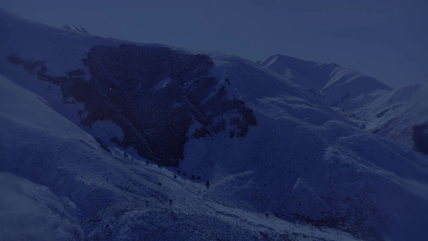 Deep Winter 8 Tint Still